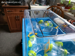 plast box