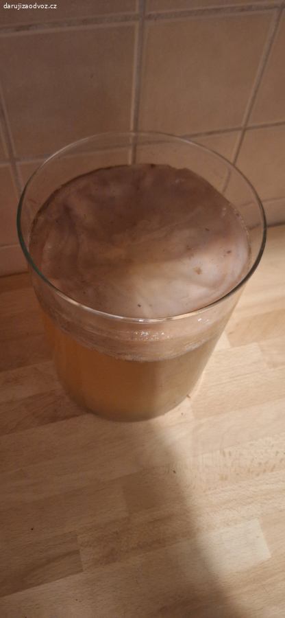 scoby kombucha