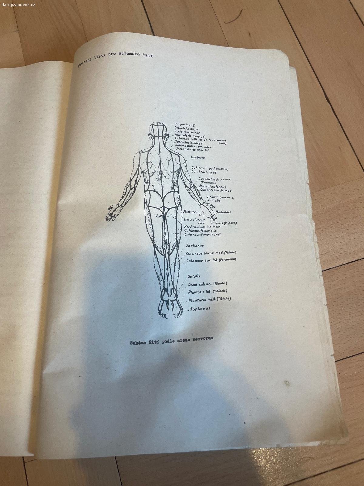 Skripta ZÁKLADY OBECNÉ NEUROLOGIE - Vymazal a kol.. Daruji skripta ZÁKLADY OBECNÉ NEUROLOGIE - Josef Vymazal a kolektiv. Vhodné pro VŠ studenty medicíny Univerzity Karlovy v Praze - Všeobecné lékařství. Bez vad. K vyzvednutí po předchozí domluvě na Praze 4. Lze zaslat i Zásilkovnou při platbě předem. Daruji další věci za ODVOZ viz. inzeráty!