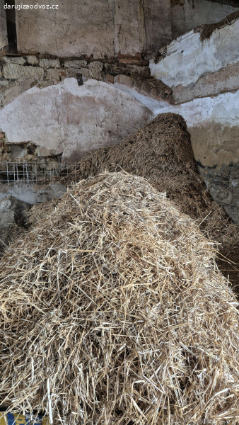 sláma