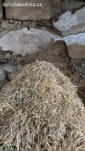 sláma