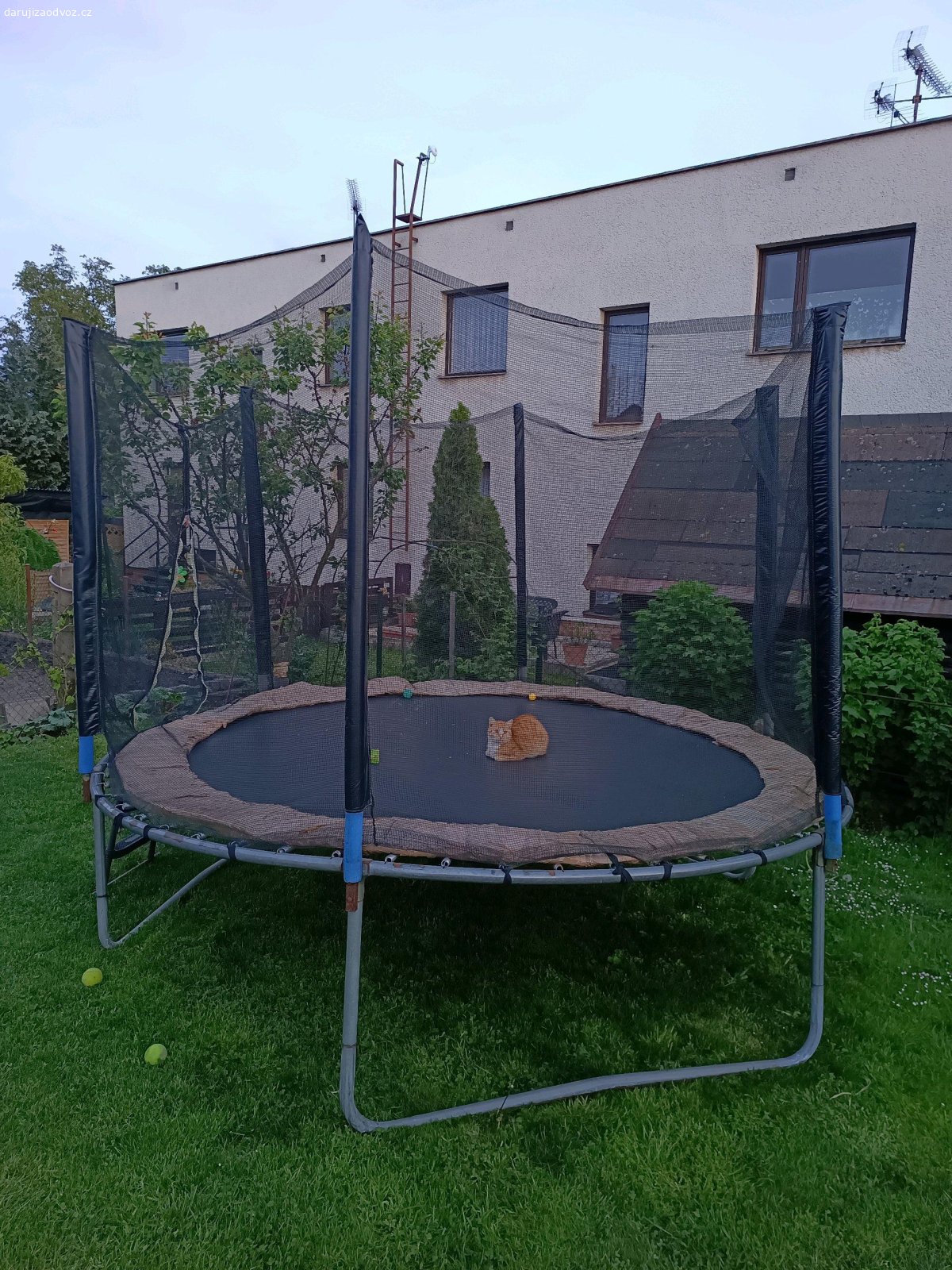 Trampolína (průměr 2,5 m). Daruji za odvoz trampolínu včetně sítě (v pořádku, jen se rozjíždí zip dveří, takže nejde zavřít, my je máme stále otevřené - může hrát roli u malých dětí) a schůdků, průměr skákací plochy je 240 cm + okrajový límec 2x cca 20 cm (je oblepen izolepou, protože byl potrhaný, ale na funkčnost to nemá vliv).

V současnosti stojí na zahradě, ale překáží a již ji nevyužijeme, tak třeba někomu udělá radost.

V případě zájmu pomůžeme rozložit.