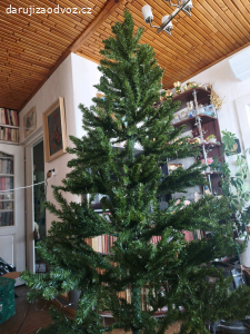 vánoční stromek 210cm