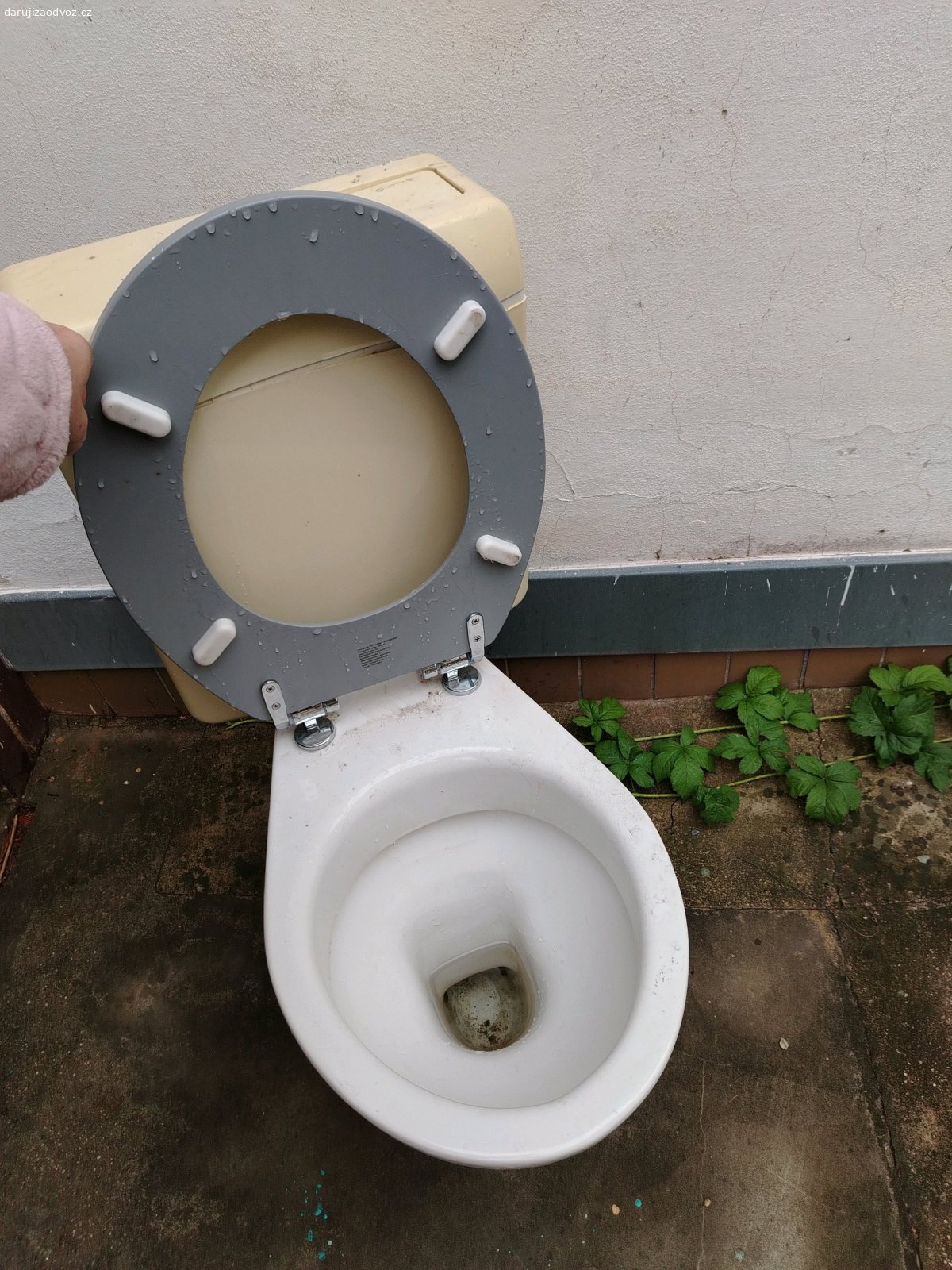 wc + splachovac. Daruji wc se splachovacem.