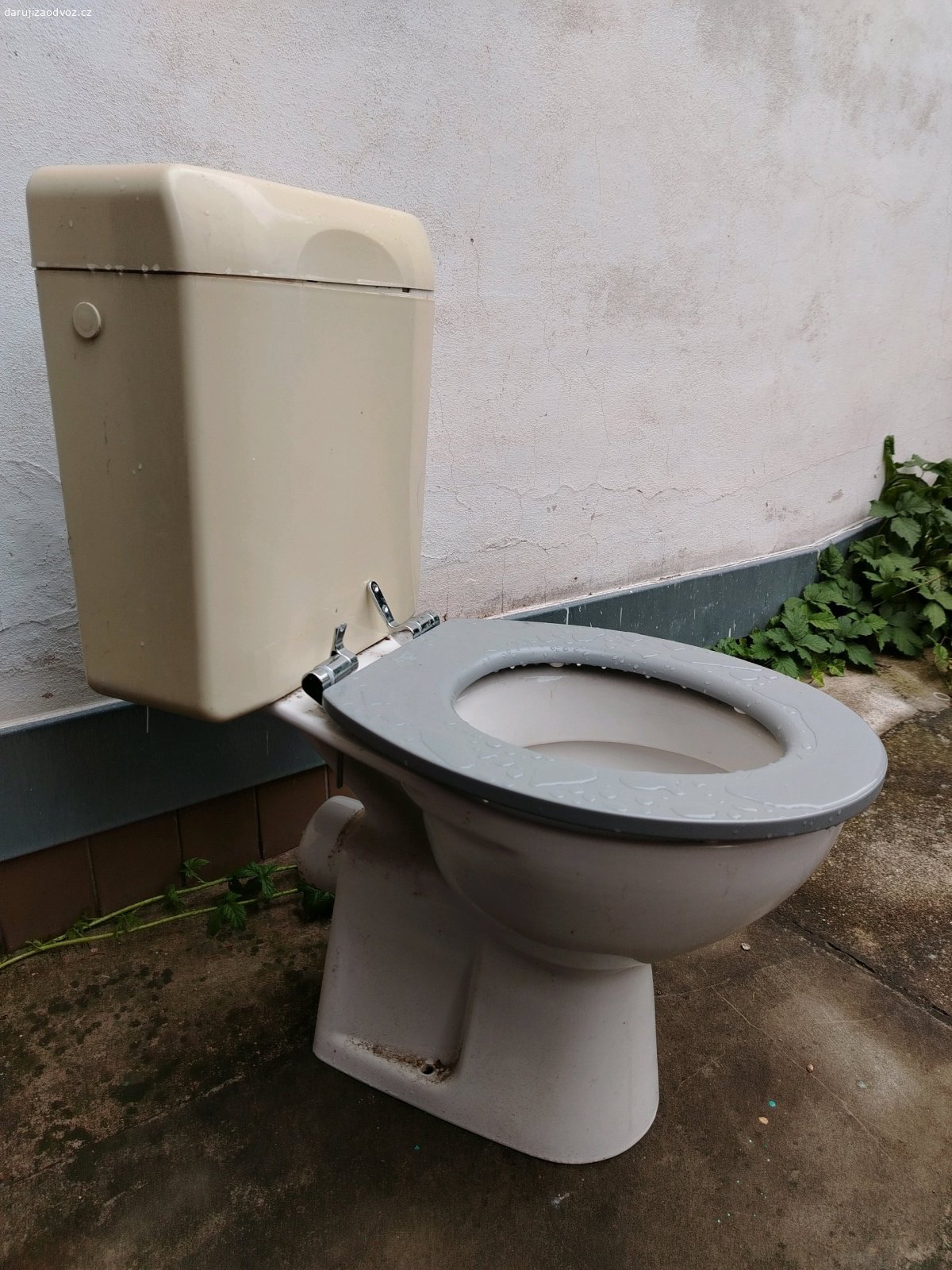 wc + splachovac. Daruji wc se splachovacem.